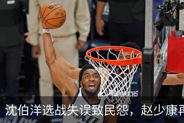 沈伯洋选战失误致民怨，赵少康再度采访引发争议