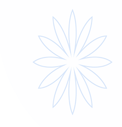 金年会 官方主站｜JINNIAN Official Home